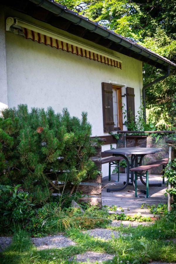 Ferienhaus Schetterเอค ภายนอก รูปภาพ